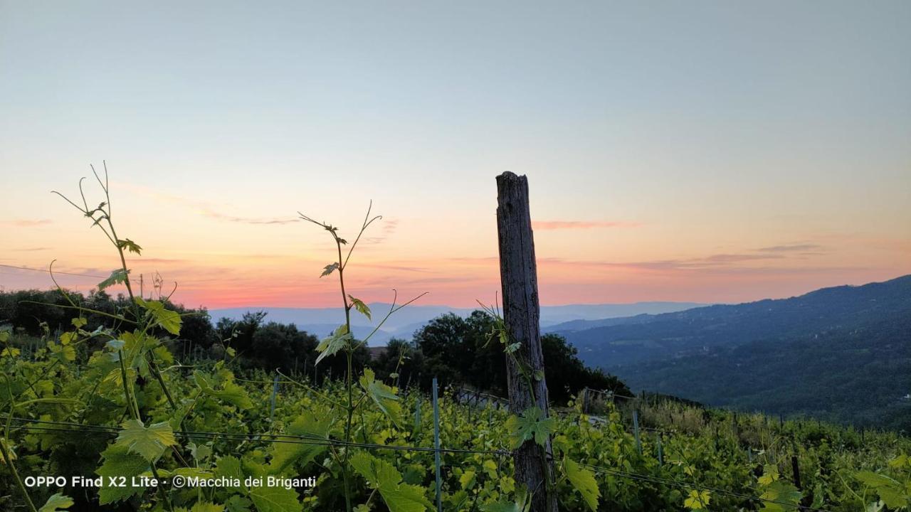 Bed & Breakfast Macchia Dei Briganti - *